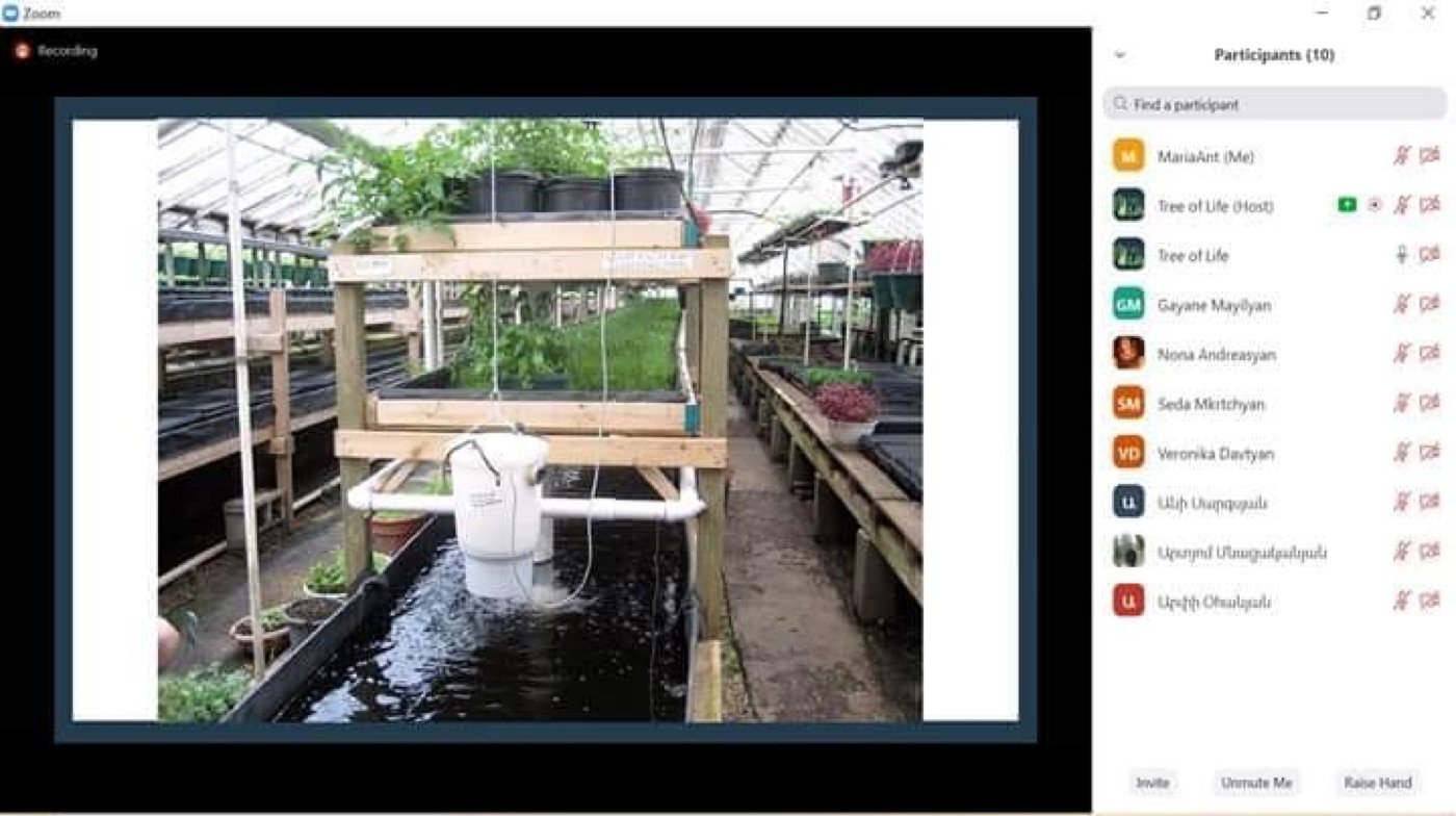 Webinars and digital sessions — photograph 5 of 8