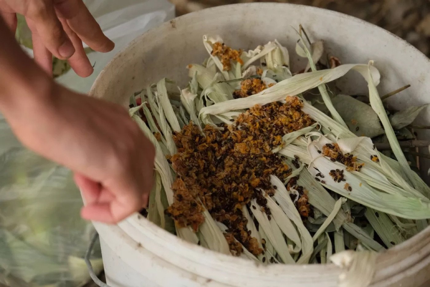UNICEF Zero Waste Living green campaign — photograph 3 of 7