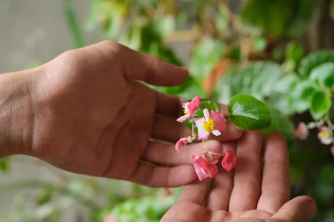 UNICEF Zero Waste Living green campaign — photograph 6 of 7
