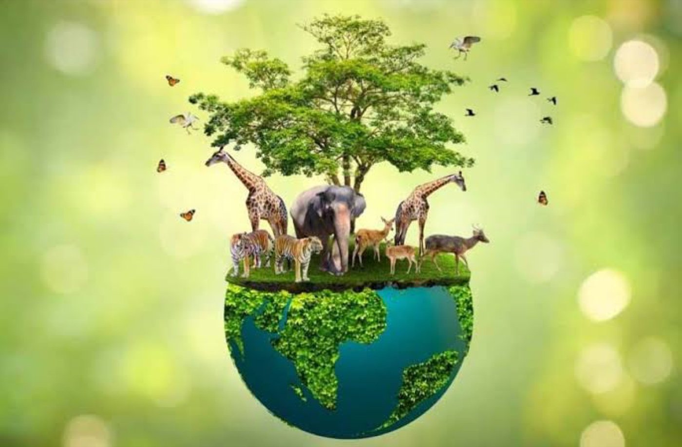 Biodiversity for All campaign artwork: a tree and wild animals growing from a globe against a soft green background